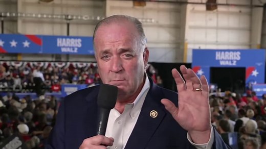 Michigan Democrat says Tim Walz is 'just like the neighbor down the street'