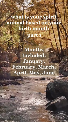 Discover Your February Spirit Animal Based on Your Birth Month