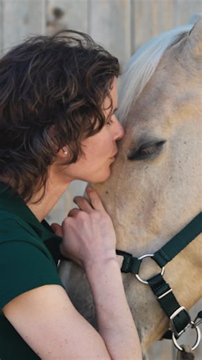 Mühldorfer Pferdefutter on Instagram: "Es ist dieser Moment, kurz bevor die Sonne hinter den Bäumen versinkt. Das Licht wird weich, golden. Ich stehe still neben ihm – meinem Pferd – und höre nur das leise Schnauben, das rhythmische Kauen, das ruhige Atmen, das sich mit meinem mischt. Seine Nüstern berühren meine Hand, warm, vertraut. In diesen Augenblicken braucht es keine Worte. Ich spüre, dass Vertrauen nicht gegeben, sondern gelebt wird – jeden Tag, in jeder Geste, in jedem Bissen, den ich i