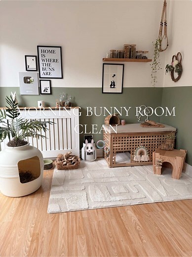 Morning Bunny Room Cleaning ASMR for a Lovely Sunday