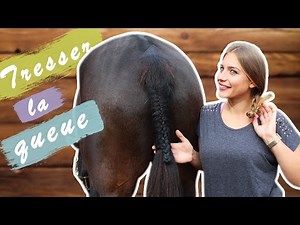 TRESSER LA QUEUE D'UN CHEVAL 🎀