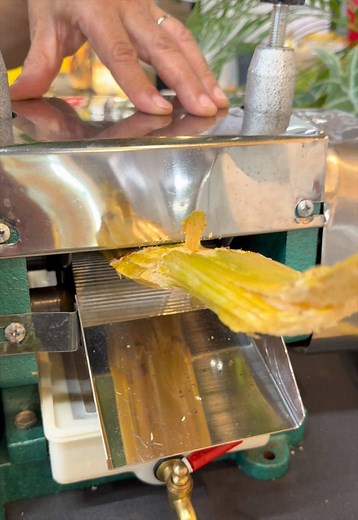 宮古島でサトウキビジュース作り体験｜搾りたての甘さを味わう