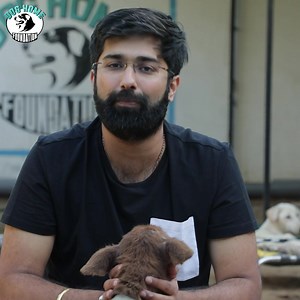 83 reactions | We have more than 500 dogs in our care at any given time, many of whom have been abandoned, are paralyzed, or are suffering from cancer. We provide all of our services for free, including medical care, shelter, and food, ensuring that these furry friends receive the care and attention they need and deserve. Please donate to support us. Donation link; https://bit.ly/3r7iiWl-save-dogs | Dog Home Foundation | Facebook