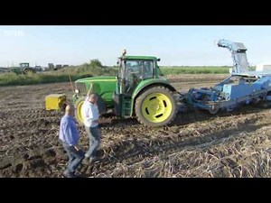 Harvest 2013 Part 1 Of 3 Vegetables