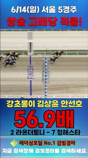 [Seoul Horse Racing] Sunday, June 14, Race 5: Kang Cho-rong hits high-paying quinella bet on Kim ...