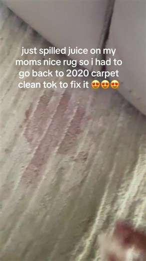 i hope she doesn't notice | Carpet Cleaning