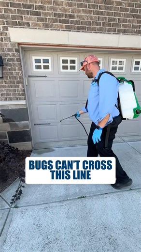 How perimeter pest control works: the exterior line that keeps bugs out #shorts