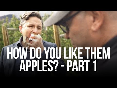 The story behind that apple video and 9 key moments from Pierre Poilievre's Joe Rogan episode