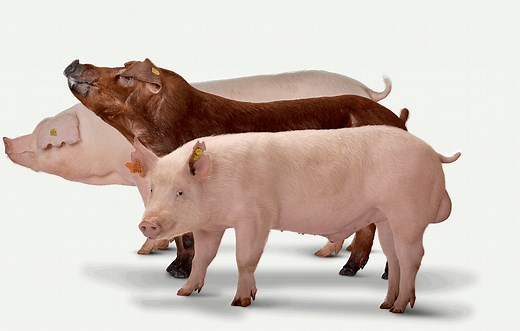 See what we can offer for your business with our DNA!