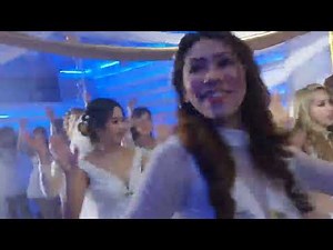 new zebra mina dance