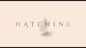 2.9K views · 88 reactions | A body horror for the birds 讀 A mysterious egg brings unimaginable surprises to a 12-year-old and her picture-perfect family in Sundance Film Festival premiere HATCHING, a bold and unforgettable psychological drama from debut Finnish director Hanna Bergholm! In theaters & on demand April 29. | IFC Films | Facebook