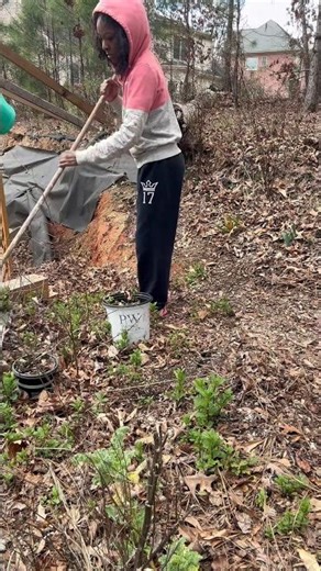 Garden Maintenance, where is Spring🌹🌸🌺🌷🌻🌼🪻