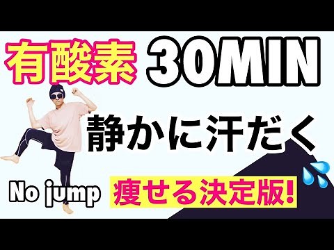 --再アップ--【汗すごい！】ごっそり脂肪を落とす３０分！痩せる有酸素運動の決定版！自宅で静かに効果的★食べ過ぎた時の運動！A