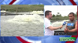 Y este es un informe espacial del canal Nariño Televisión La empresa nariñense Intiled, construyó la primera granja de energía limpia de la región, para darle auto eficiencia energética a un proyecto de cultivo de tilapia manejado por reincorporados de las extintas FARC. | Canal NTV