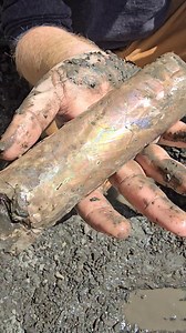 242K views · 3.6K reactions | A remarkably intact iridescent baculites fossil (an extinct cephalopod) extracted by Ben from the pierre shale in Colorado. | Colorado Geology | Facebook