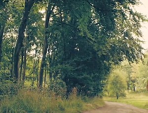 1.7M views · 9.2K reactions | more viral videos in this group Netflix 2023 #movienight #moviereview #movietime #movieblog #highlights #reels #reelsfb #reelsvideo #reelsviral #reelsinstagram #rainbowmedia #rainbow #reelsindia #fyp #viral #foryou #foryoupage | La Belle Campagne | Facebook