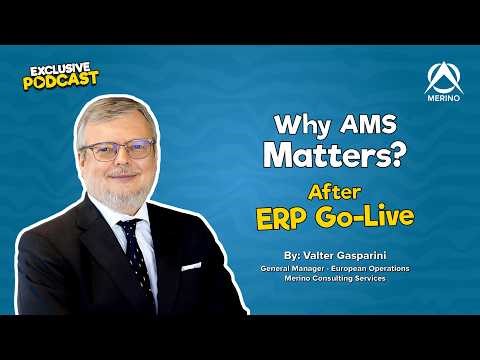 Why AMS Matters After ERP Go-Live | ERP Managed Services Explained
