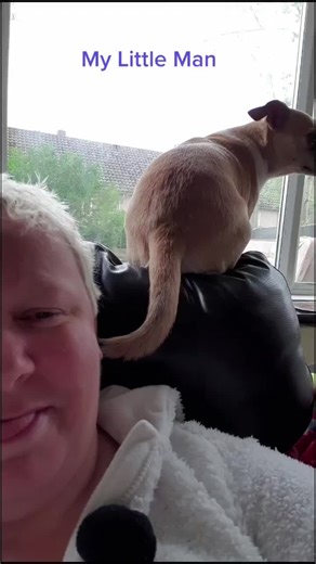 @donnagee55 Got this little guy after my breakdown in 2015 and he helped save my life LOVE YOU LITTLE MAN