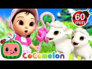 Little Bo Peep Has Lost Her Sheep! 🐑 | CoComelon Nursery Rhymes and Kids Songs | Animals for Kids