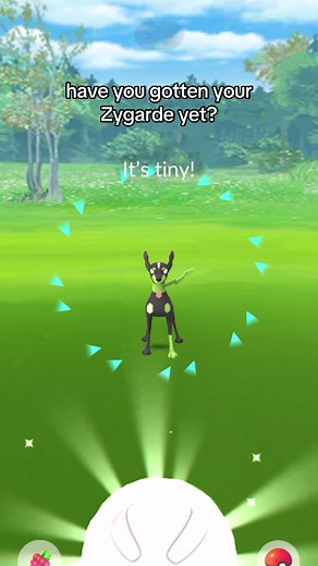 Have you gotten Zygarde? #pokemongo #pokemongozygarde #zygarde #pokemongodaily #pokemongolegendary #pokemongoevent #pokemongospecialresearch #pokemongorare #pokemongonew #pokemongotiny