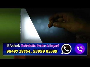 #RudrakshaXrayTest| Rudraksha Lab Test Rudraksha beads X ray Test Test Real or Fake Rudraksha Exp