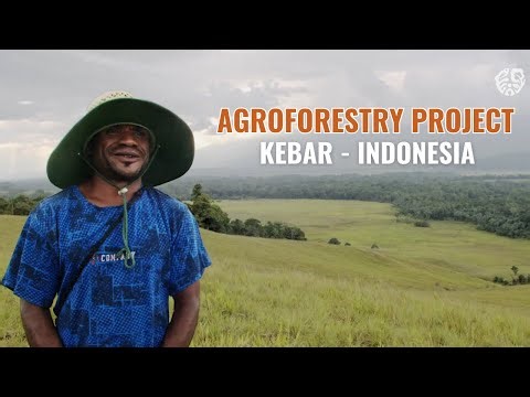 Agroforestry in Action: Real-World Applications & Community Impact