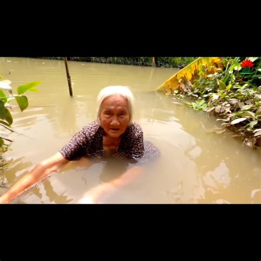 Elderly Woman in Nature: A Serene Outdoor Scene