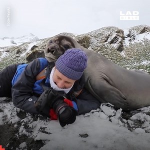 766K views · 10K reactions | The hazards of wildlife photography...  | GOODLAD | Facebook