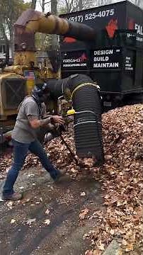 Is This the BEST Leaf Cleanup Ever?