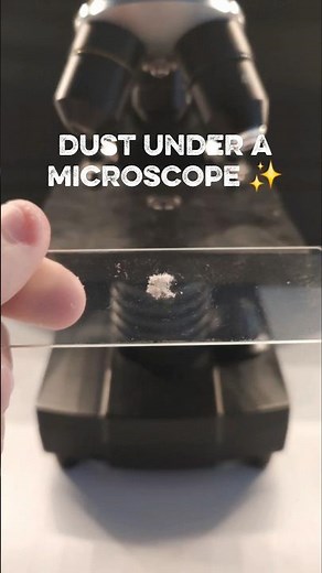 microscopic observation of dust #microscope #science #experiment