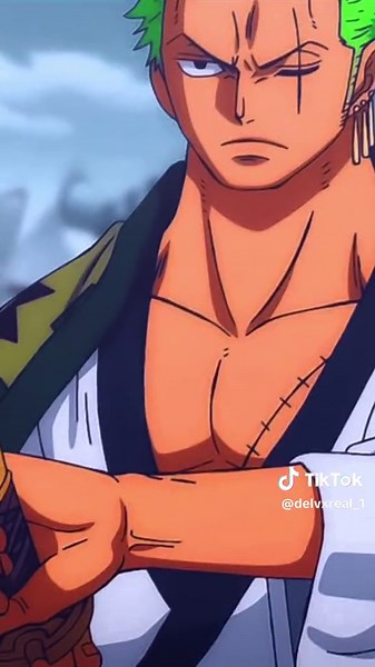 Zoro Sleeping - Versi Zoro One Piece