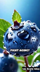 Top 5 Anti-Aging Fruits Revealed!