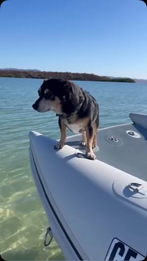 Feeling good! #truekit #feelinggood #boatinglife | True Kit