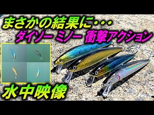 水中映像【ダイソー ミノー モンスター】アクションはどうなの？ シーバス ルアー 撮影あるある！DAISO Minnow monster 11㎝ 13㎝