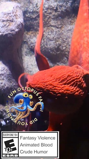 Konami Digital Entertainment on Instagram: "Darwin's Paradox! is a new action-adventure, story-based platformer coming to PlayStation®5, Xbox Series X|S, Nintendo Switch, and Steam®. 朗 Visit our website to learn more and add Darwin's Paradox! to your wishlist through the link in our bio!   Video courtesy of Aquarium of the Pacific #darwinsparadox #konami"