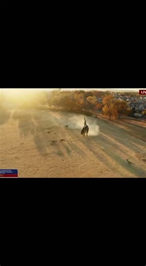 News Chopper: T‑Rex vs Velociraptors