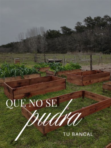 Un detalle simple puede hacer que tus bancales duren muchos más años. Nosotros forramos la parte interior con nylon para evitar que la tierra húmeda esté en contacto directo con la madera y así reducir muchísimo su deterioro. Si querés armar tus propios bancales, hicimos una guía paso a paso con materiales, medidas, tratamiento de la madera y armado completo. La encontrás en el link del perfil.