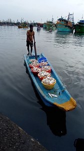 Lots of Fishes Catch in Small Boat #fishing #fishingvideos #thoondilulagam #seafishing | Thoondil Ulagam - Fishing