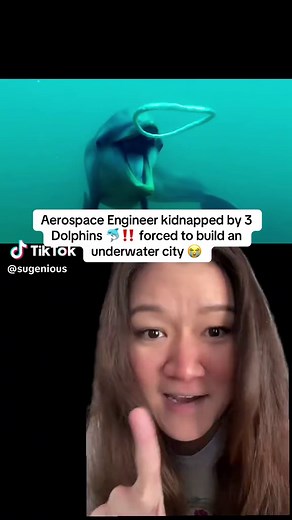 Florida Man Kidnapped by Dolphins to Build Underwater City