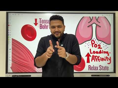 O2 Curve of HB | Dr. Najib Al-Husseini