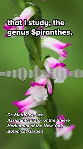 2K views · 79 reactions | Orchids are found all over the world  | Science Friday | Facebook