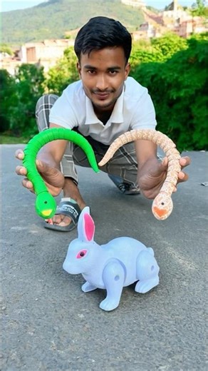2 RC Snake 🐍 And 1 Remote Control Rabbit Unboxing