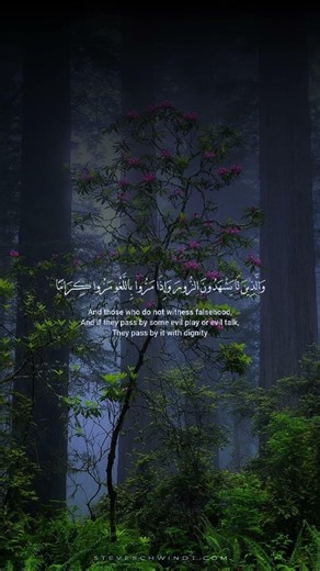 Quran Recitation | Beautiful Soothing Tilawat | Holy Quran with Best Audio for Peace & Healing