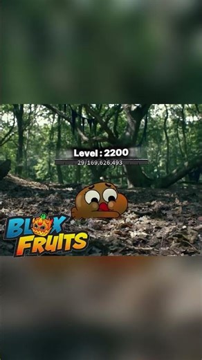 Blox fruit meme irl #roblox#bloxfruits