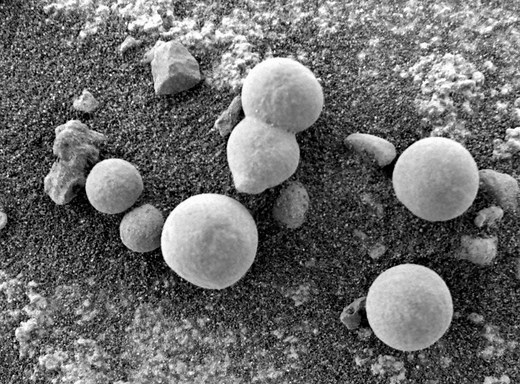 Scientists Believe These Photos Show Mushrooms on Mars — and Proof of Life