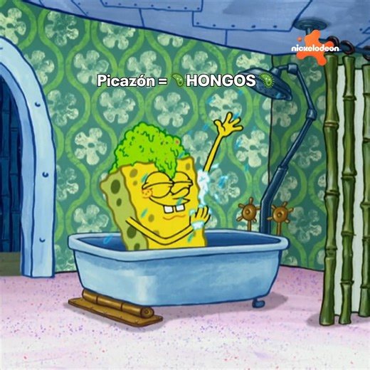 ¡INVASIÓN DE HONGOOOS! 😫🍄 | Bob Esponja