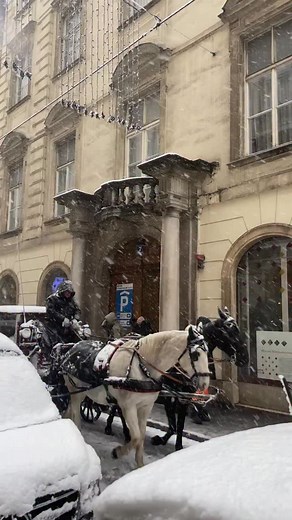 157K views · 18K reactions | The best things to do during winter in...