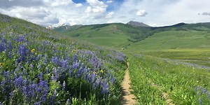 Crested Butte Trails: Brush Creek - Travel Crested Butte