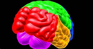 Kognitívna psychológia: definícia, teórie a hlavné autori - yes, therapy helps!