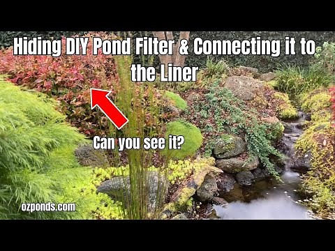 Hiding a DIY pond filter and connecting it to the pond liner